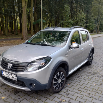 Dacia Sandero 2010 сірий, бензин